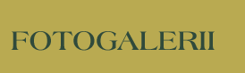 fotogalerii