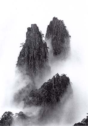Wang wusheng